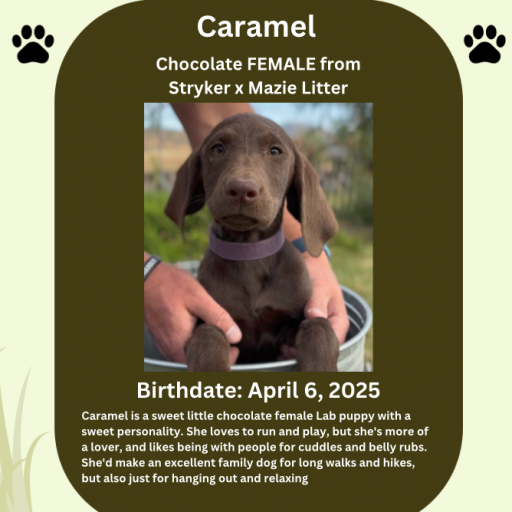 Caramel 2